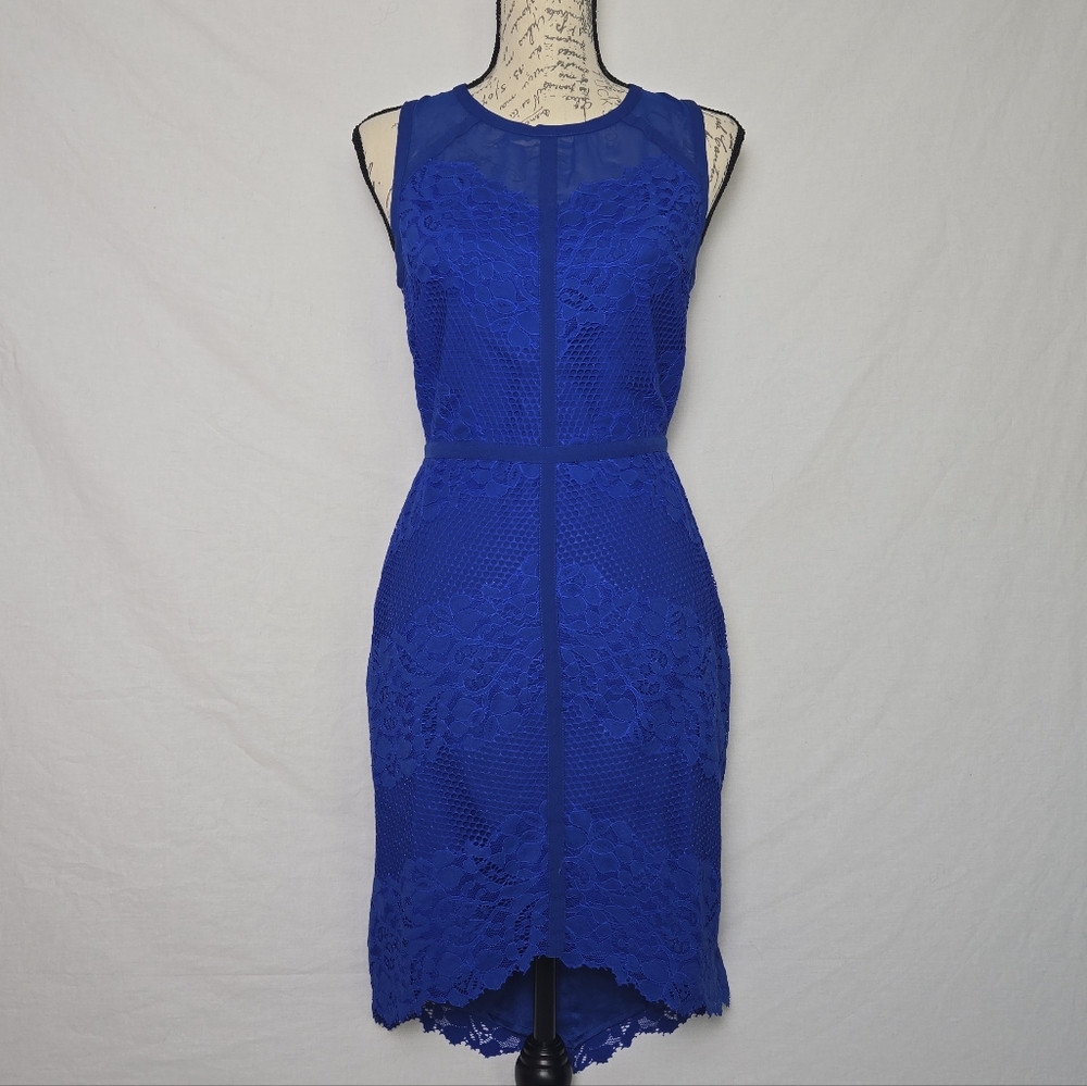Adelyn Rae Royal Blue Lace & Mesh Sleeveless High-Low Dress - Small - Picture 1 of 5